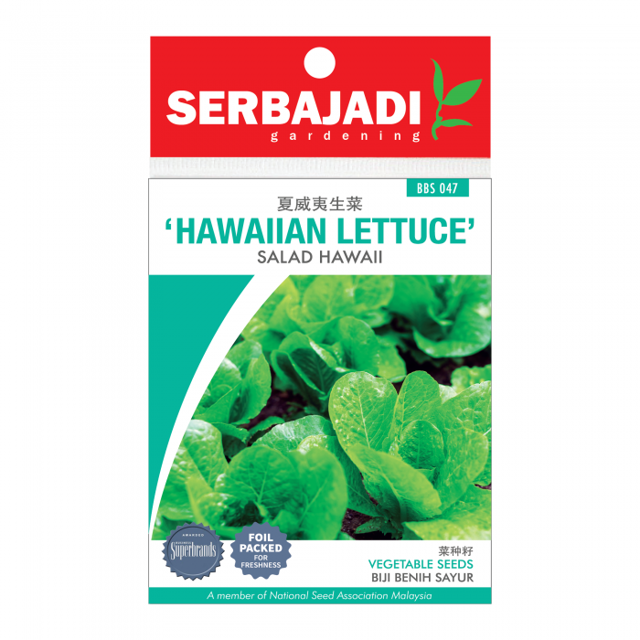 hawaiian%20lettuce-47%20(front)-700x700