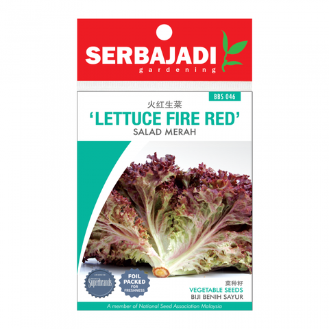 letture%20fire%20red-46%20(front)-700x700