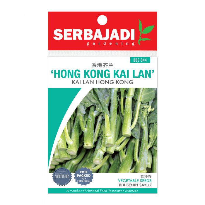 hong%20kong%20kai%20lan-44%20(front)-700x700
