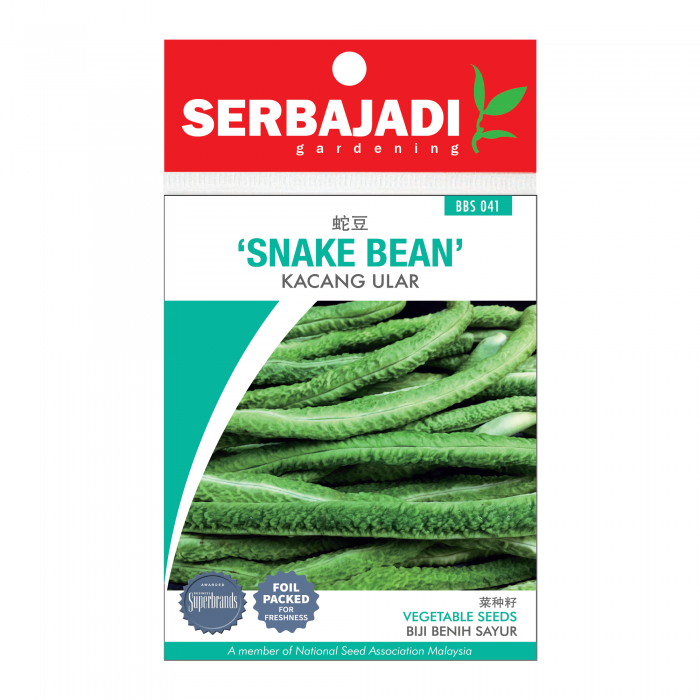 snake%20bean-41%20(front)-700x700