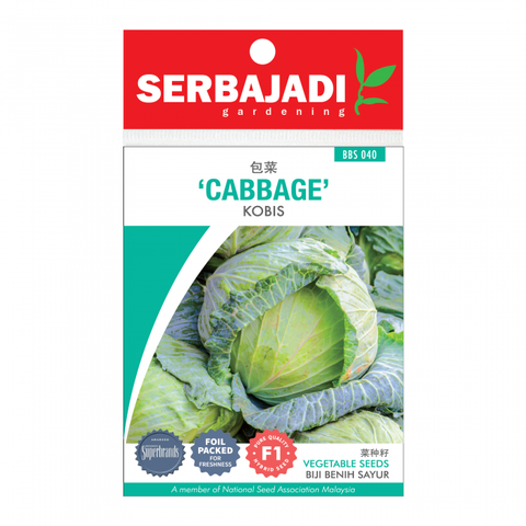 cabbage-40%20(front)-700x700
