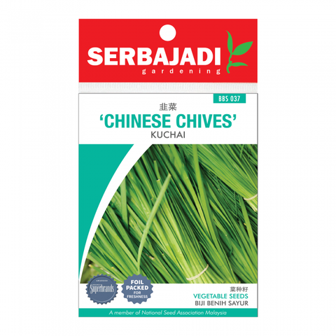 chinese%20chives-37%20(front)-700x700