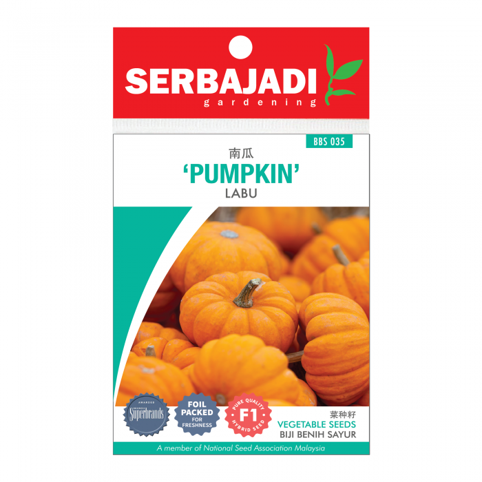 pumpkin-35%20(front)-700x700