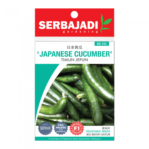 japanese%20cucumber-33%20(front)-700x700