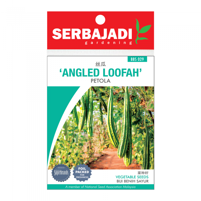 angled%20loofah-29%20(front)-700x700