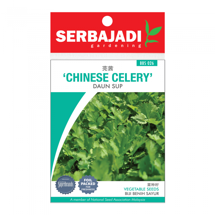 chinese%20celery-26%20(front)-700x700