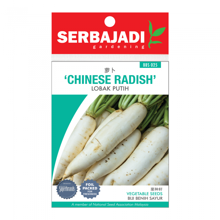chinese%20radish-25%20(front)-700x700