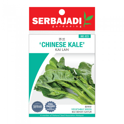 chinese%20kale-23%20(front)-700x700