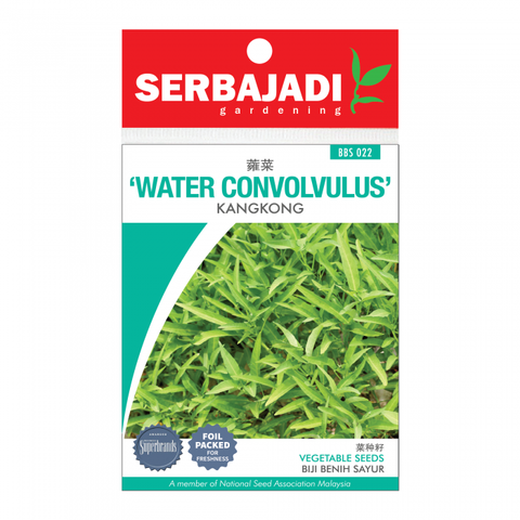 water%20convolvulus-%2022%20(front)-700x700