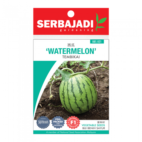 watermelon-21%20(front)-700x700