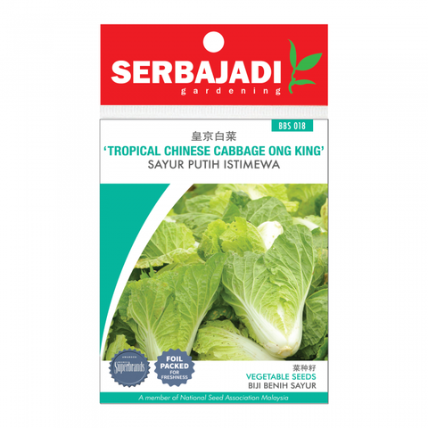 tropical%20chinsese%20cabbage%20ong%20king-18%20(front)-700x700