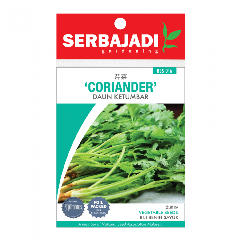 coriander-16%20(front)-700x700