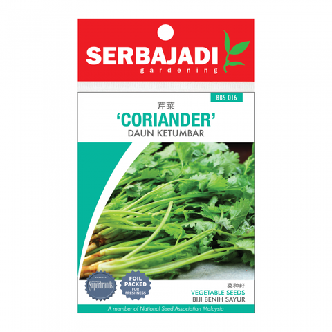 coriander-16%20(front)-700x700