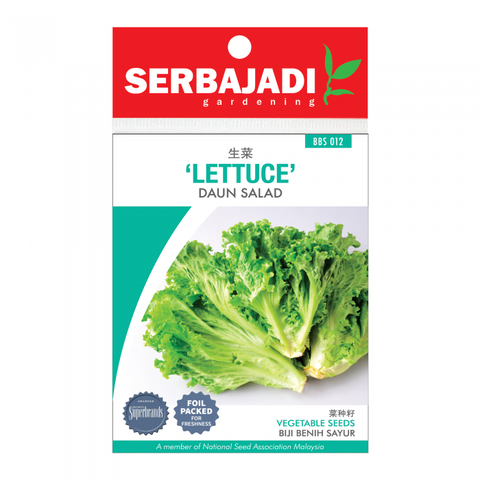 lettuce-12%20(front)-700x700