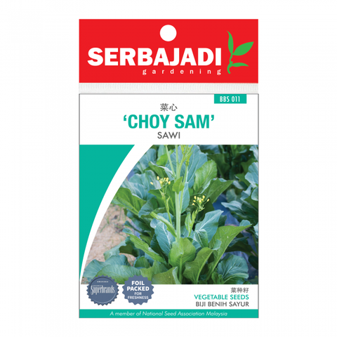 choy%20sam-11%20(front)-700x700