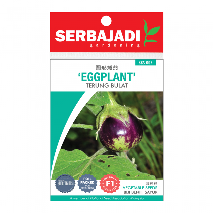 eggplant-7%20(front)-700x700