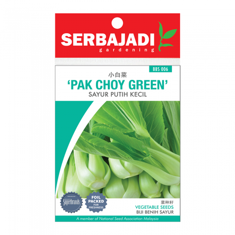 pak%20choy%20green-6%20(front)-700x700