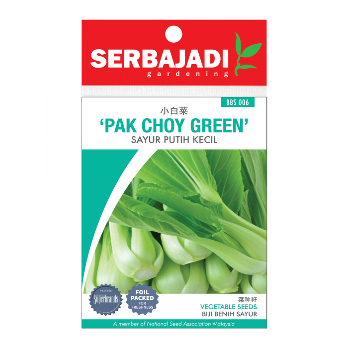 pak%20choy%20green-6%20(front)-700x700