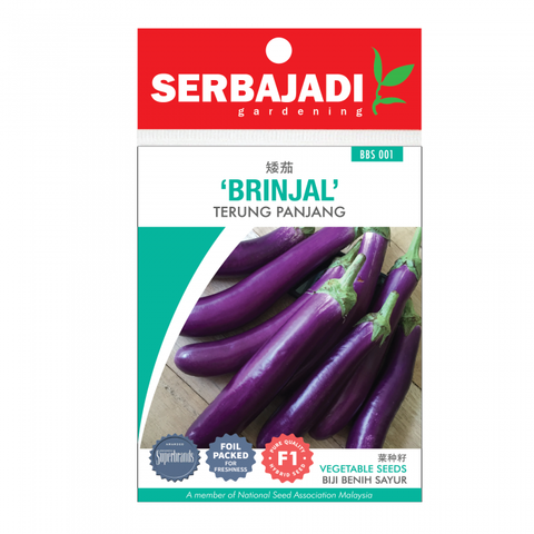 brinjal-1%20(front)-700x700