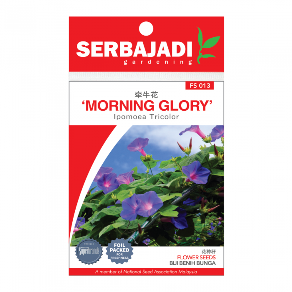 morning%20glory-13%20(front)-01-700x700