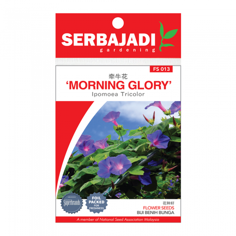 morning%20glory-13%20(front)-01-700x700