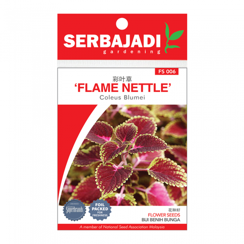 flame%20nettle-6%20(front)-01-700x700