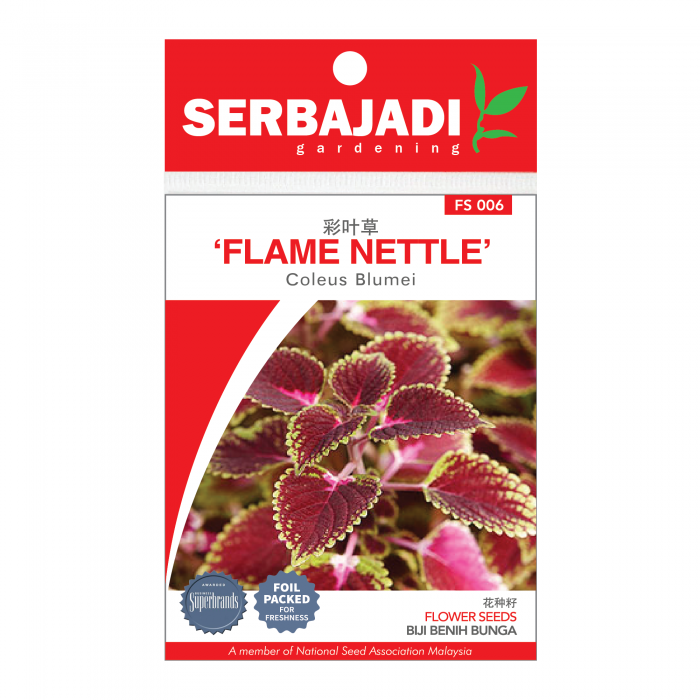 flame%20nettle-6%20(front)-01-700x700