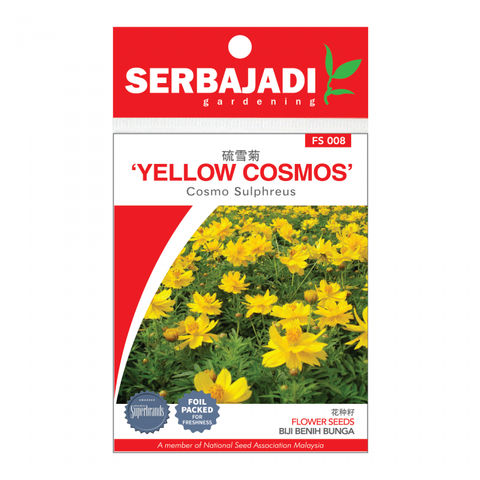 yellow%20cosmos-8%20(front)-700x700