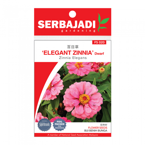 elegent%20zinnia-20%20(front)-700x700