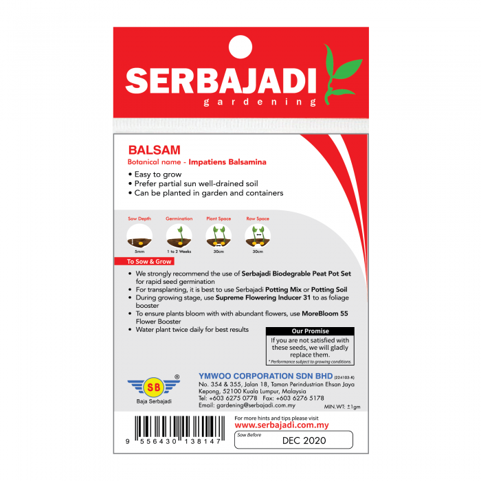 balsam-14%20(back)-700x700