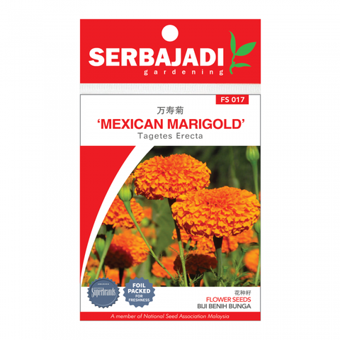 mexican%20marigold-17%20(front)-700x700
