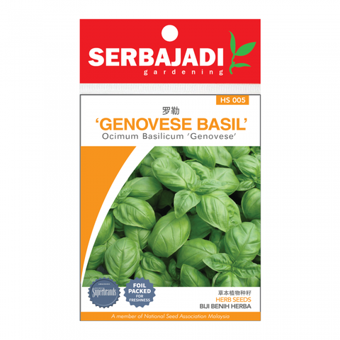 genovese%20basil-5%20(front)-700x700