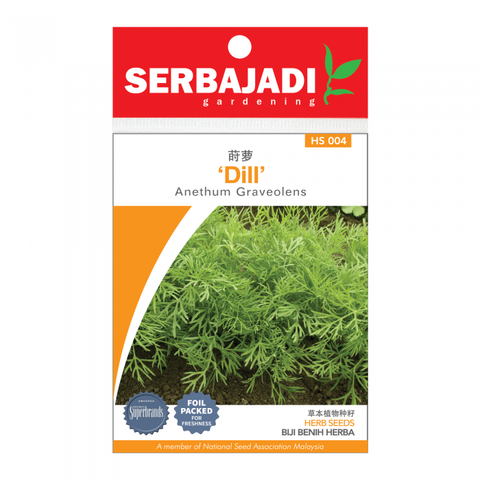 dill-4%20(front)-700x700