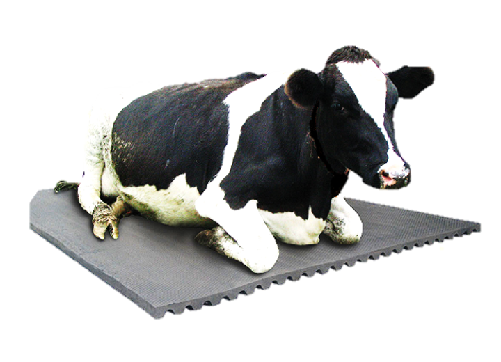 cow mat Malaysia