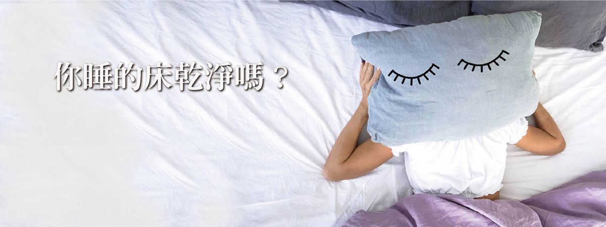 ▌寢具骯髒小測驗∥你的寢具有多髒呢?