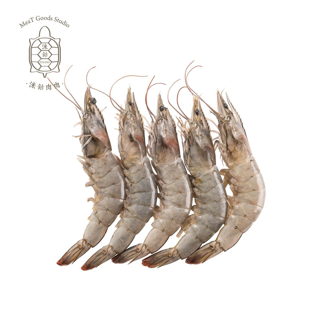 白蝦_工作區域 1_0