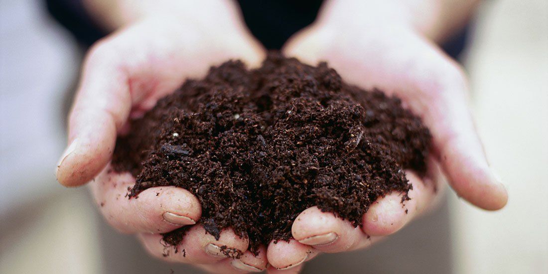 soil in hands.jpg