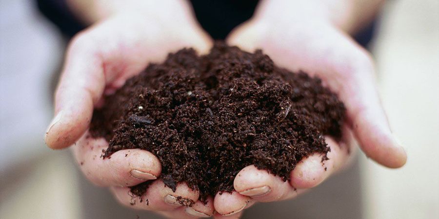 Lushflora.my | Featured Collections - SOIL & MEDIA