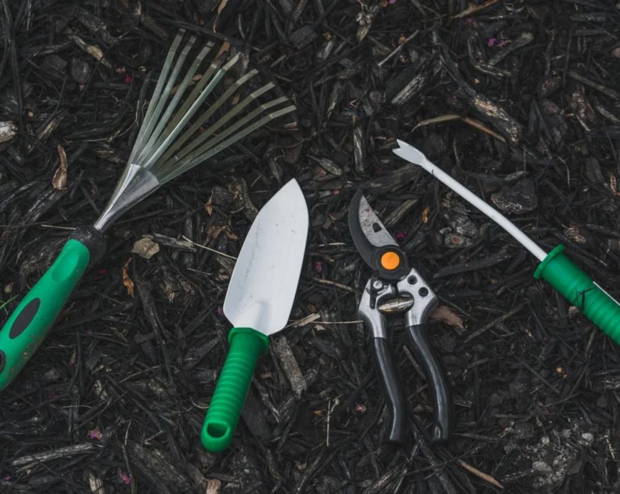 Lushflora.my | Featured Collections - RACK & TOOLS