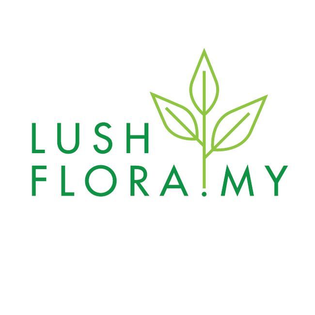 Lushflora.my | Featured Collections - OTHERS