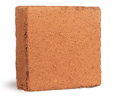 Cocopeat Block.jpg