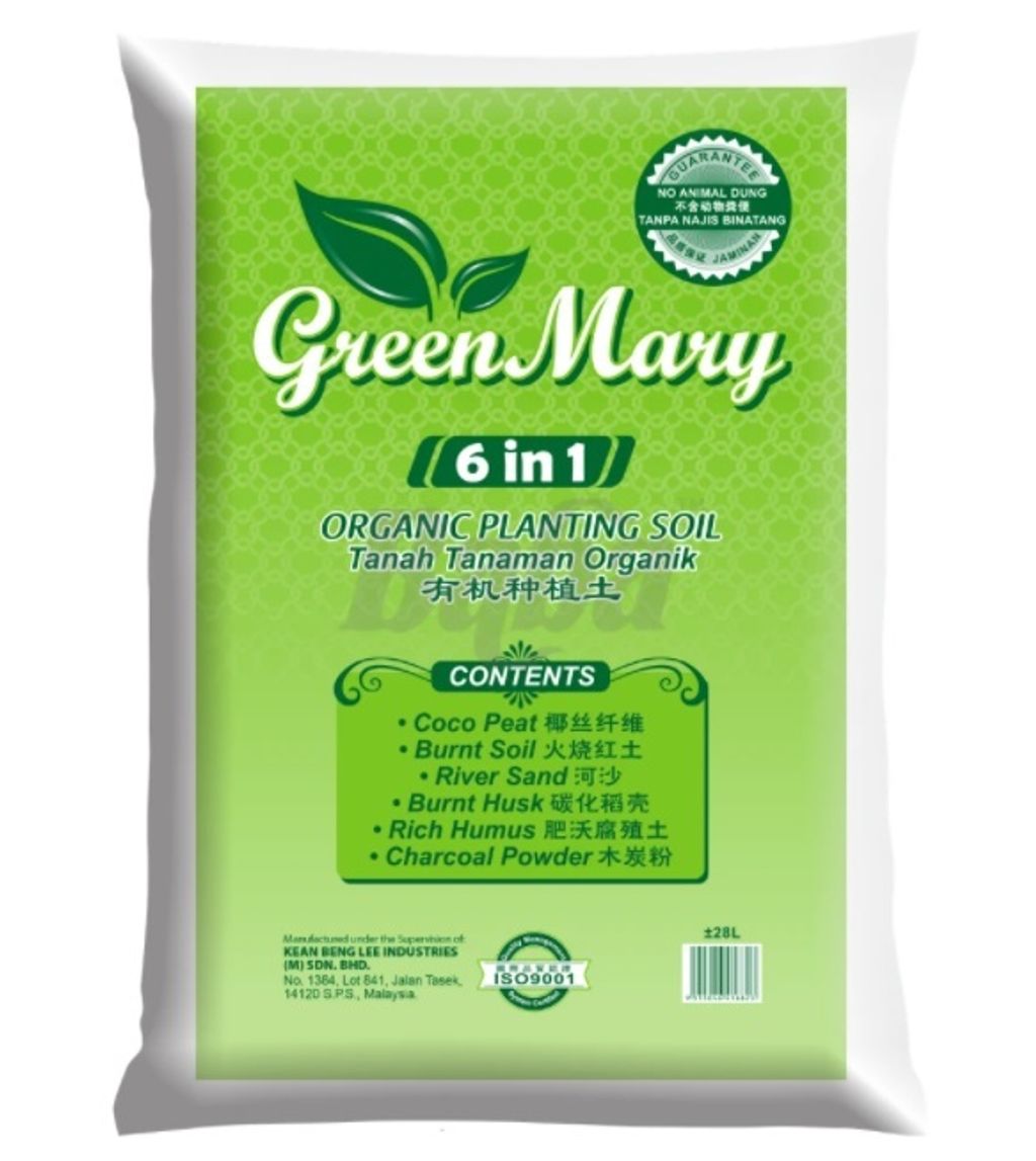 green mary.jpg