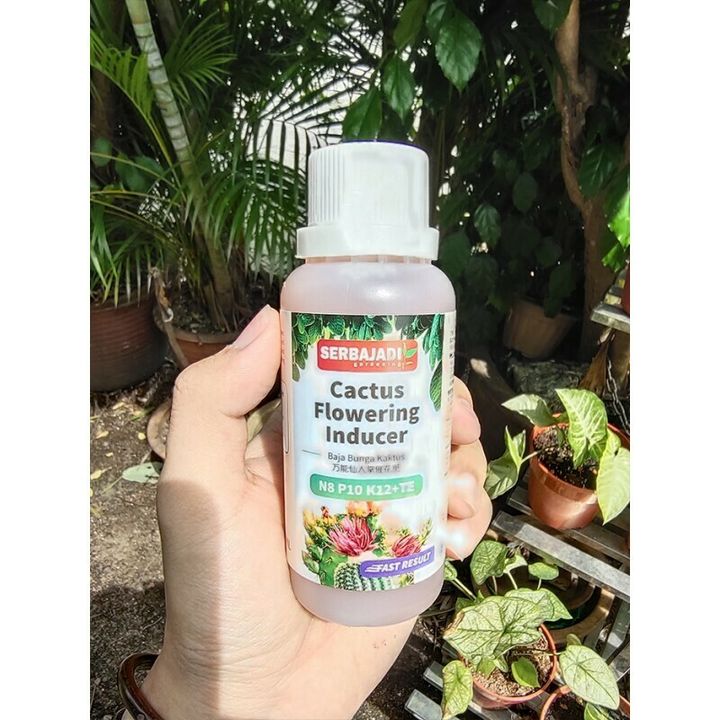 serbajadi CACTUS FLOWERING INDUCER.jpg