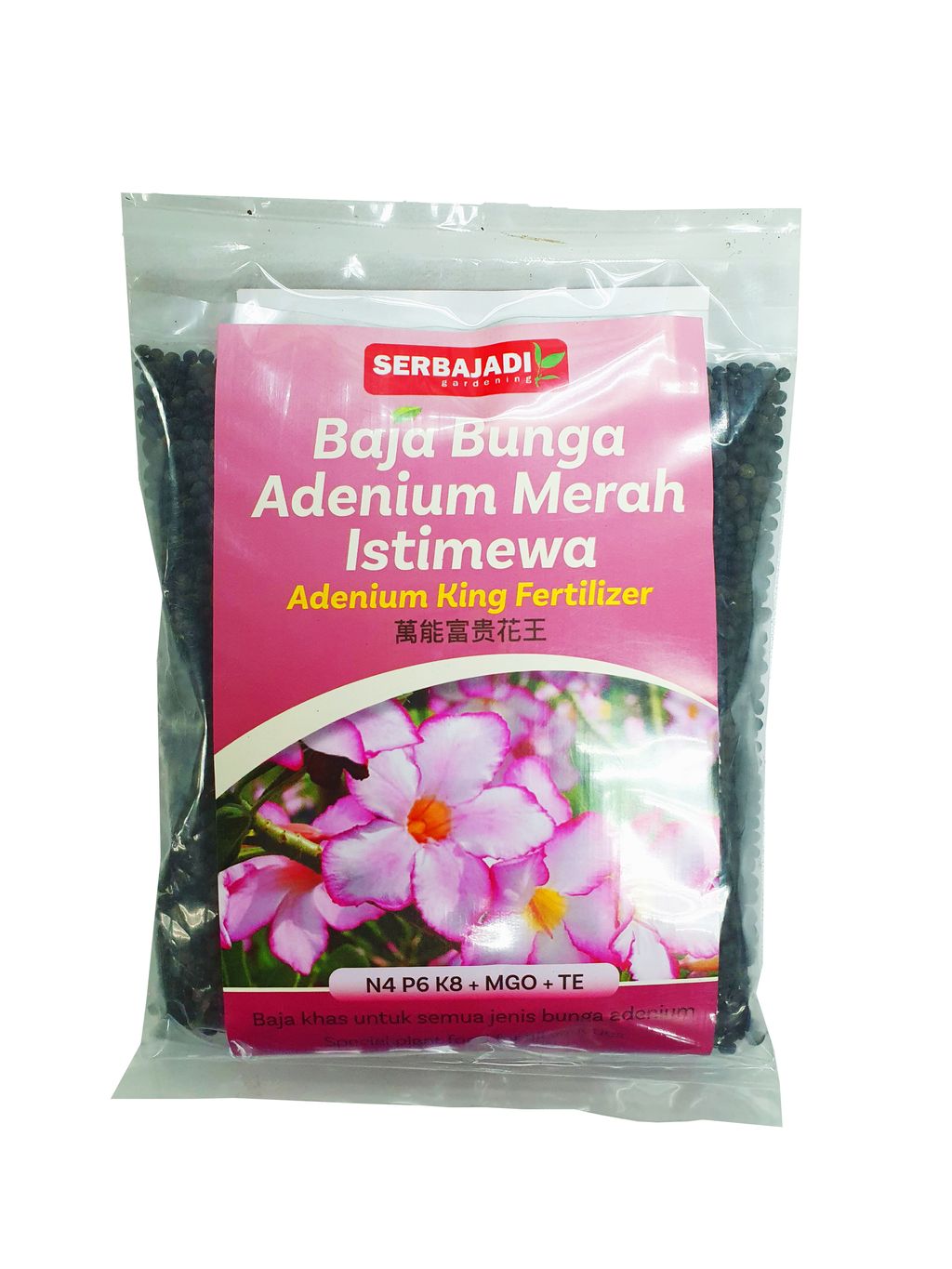 SERBAJADI ADENIUM KING 19.jpg