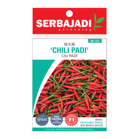 CHILI PADI BBS010.png