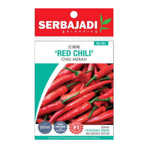 CILI MERAH BBS005.png