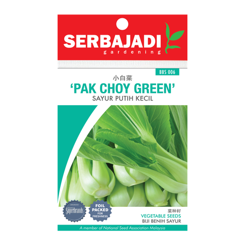 PAK CHOY GREEN BBS006.png