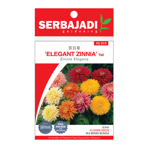 ZINNIA TALL FS019.png