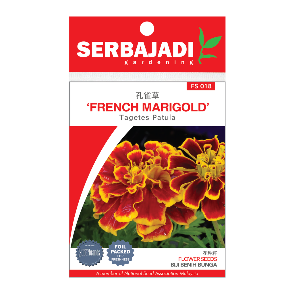 FRENCH MARIGOLD FS018.png