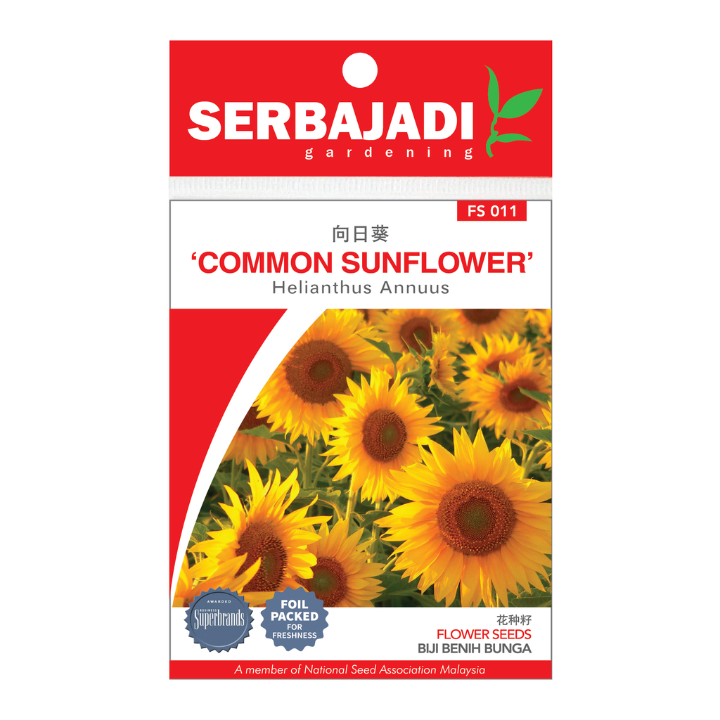 COMMON SUNFLOWER FS011.png